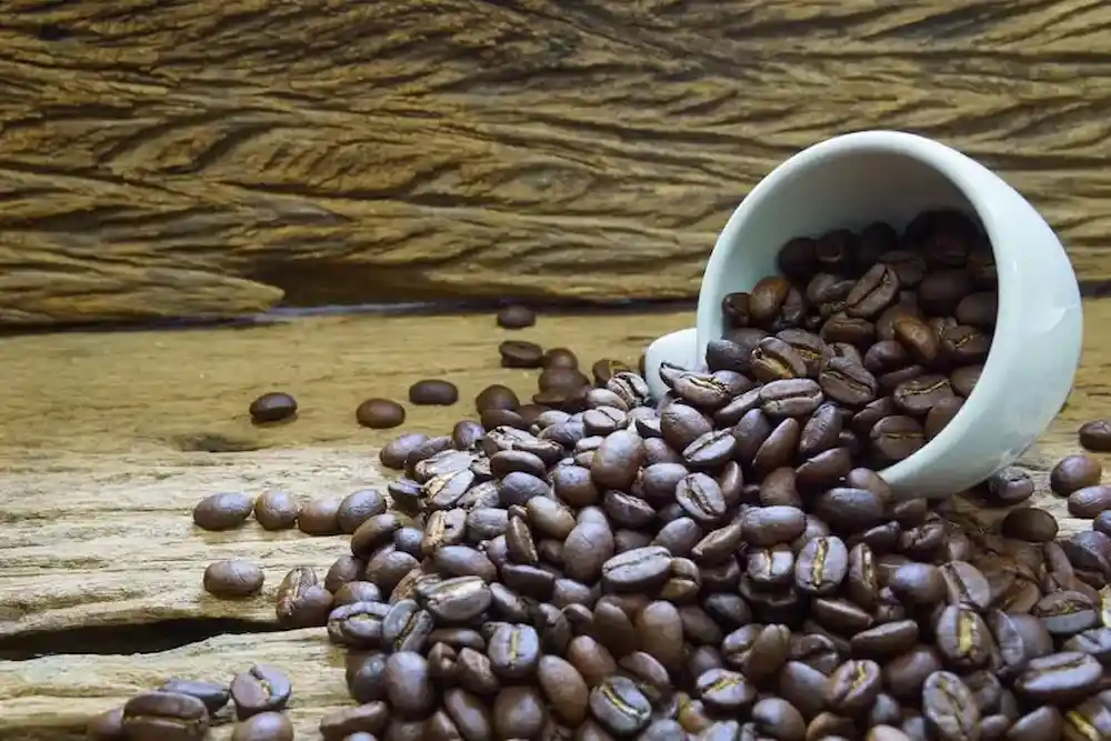 Medium roasted coffee beans on a table